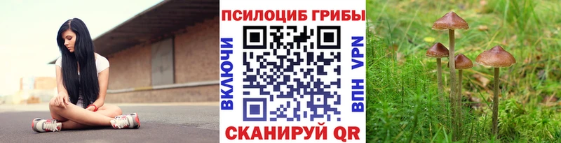 цены наркотик  Калачинск  Галлюциногенные грибы MAGIC MUSHROOMS 