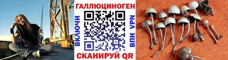 Псилоцибиновые грибы ЛСД Калачинск